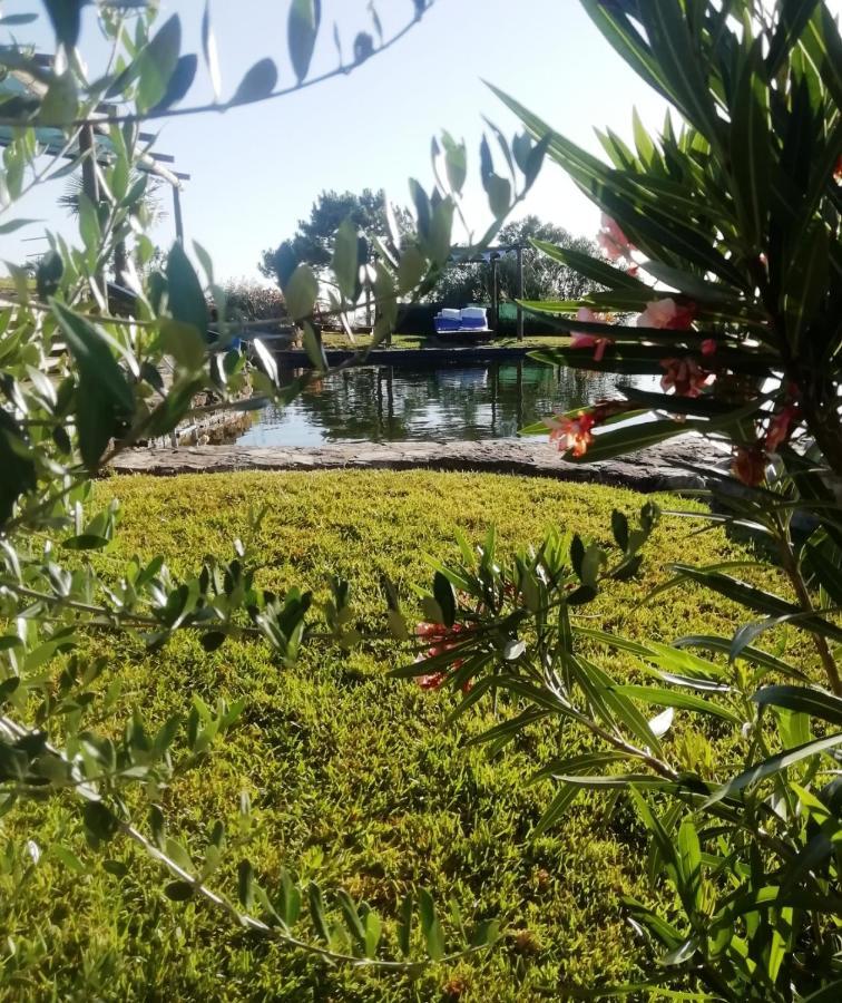 הוילה Santiago do Cacém Casa Do Moleiro מראה חיצוני תמונה